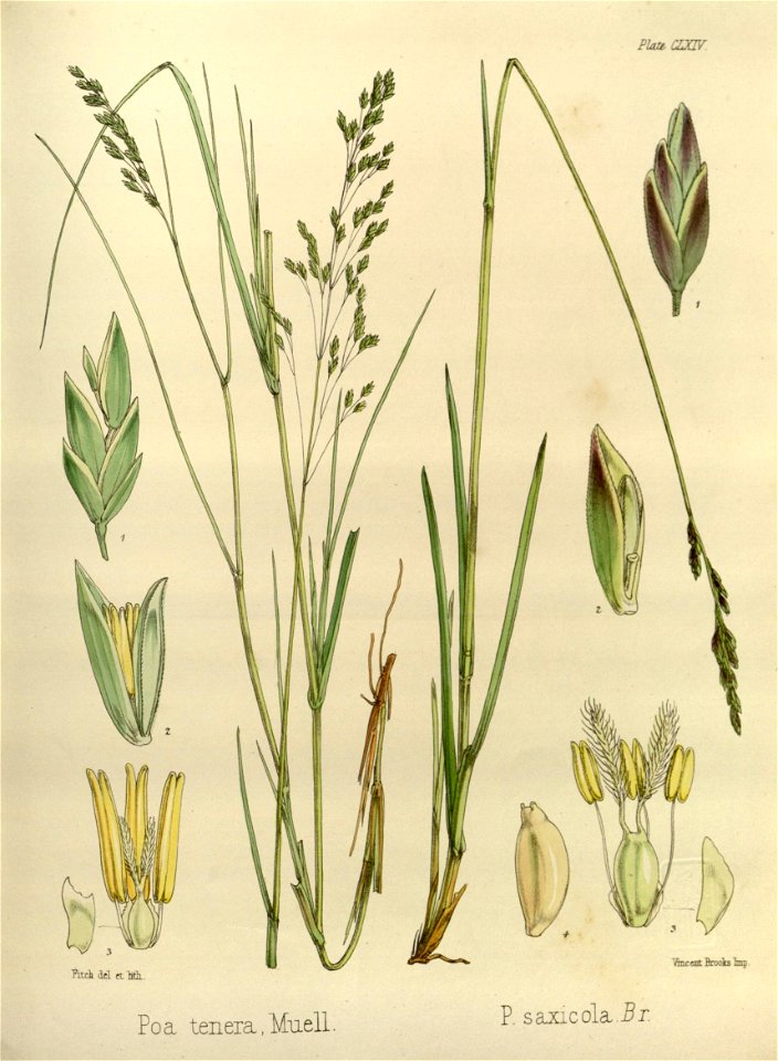 n509_w1150