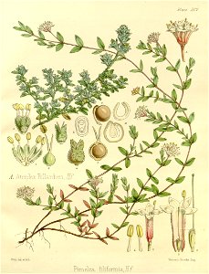 n585_w1150