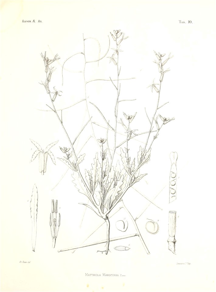 n52_w1150