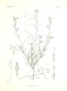 n52_w1150