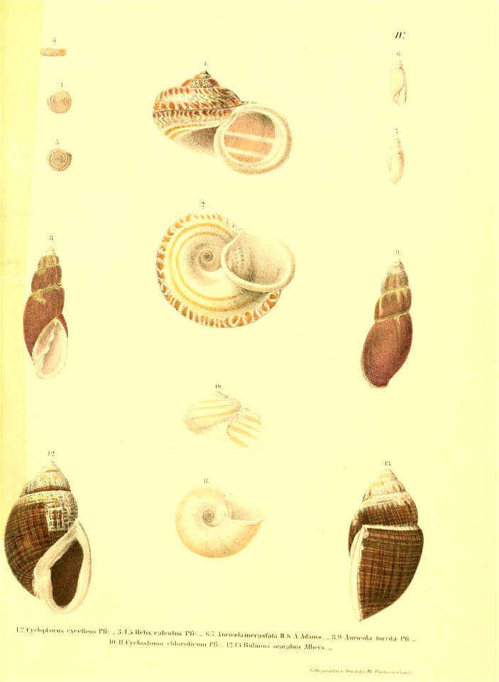 n154_w1150