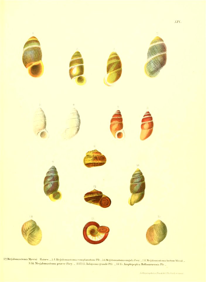 n184_w1150