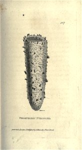 n218_w1150