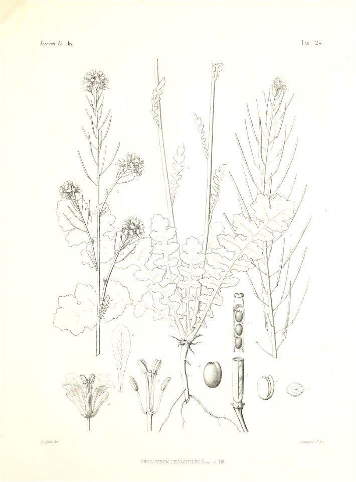 n80_w1150