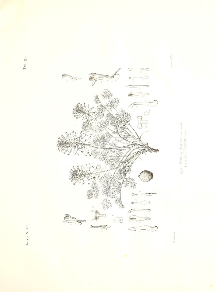 n50_w1150