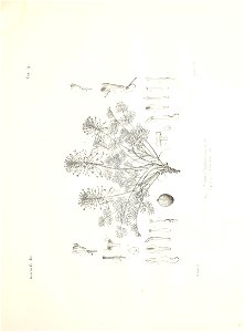 n50_w1150