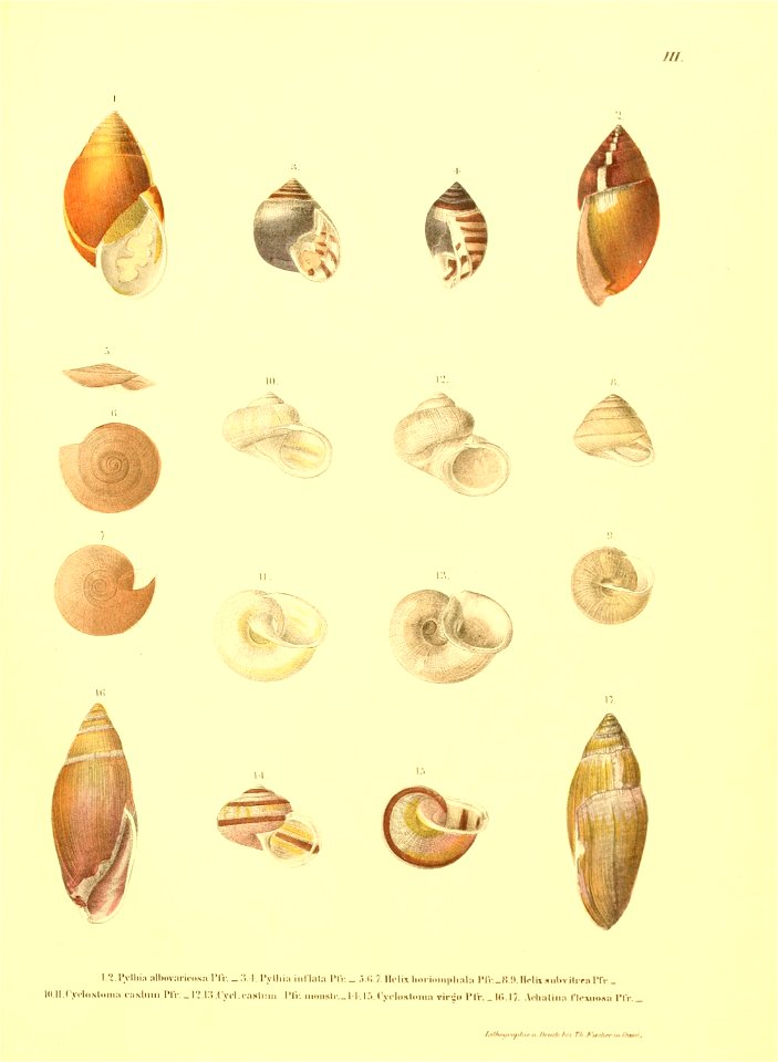 n152_w1150