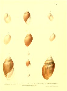 n150_w1150