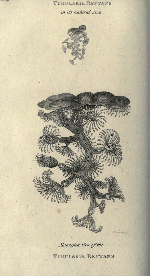n353_w1150