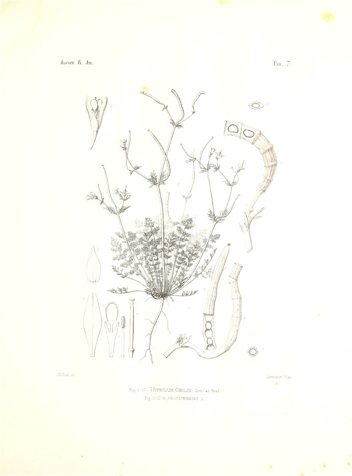 n46_w1150