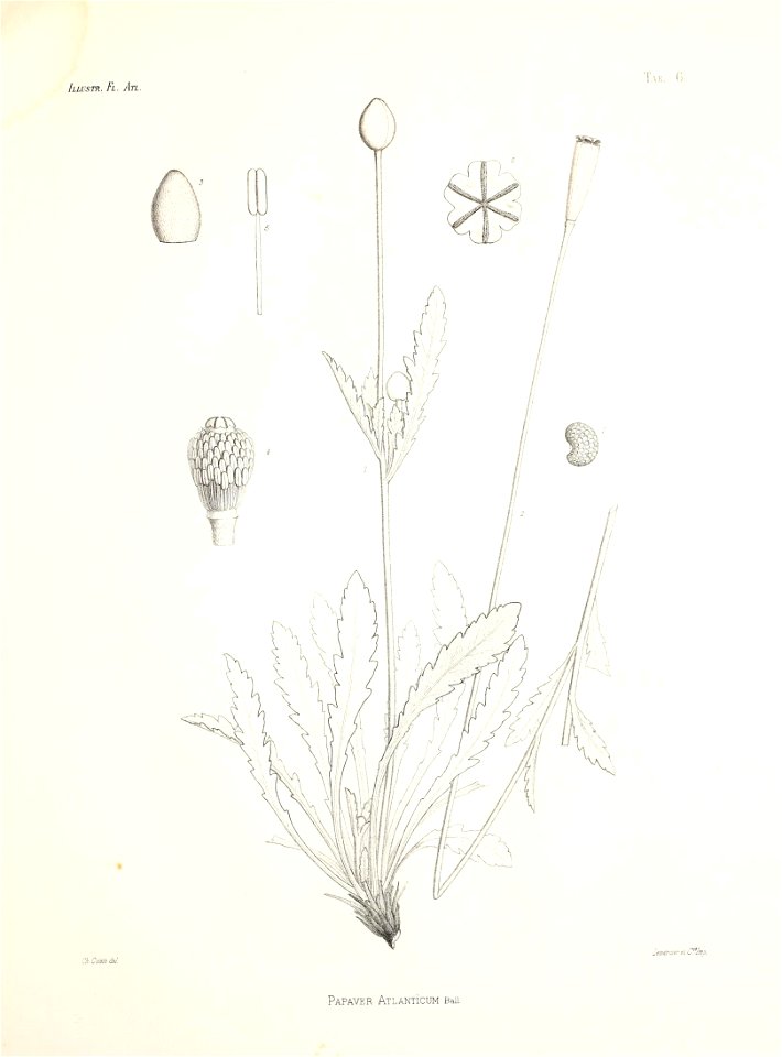 n44_w1150