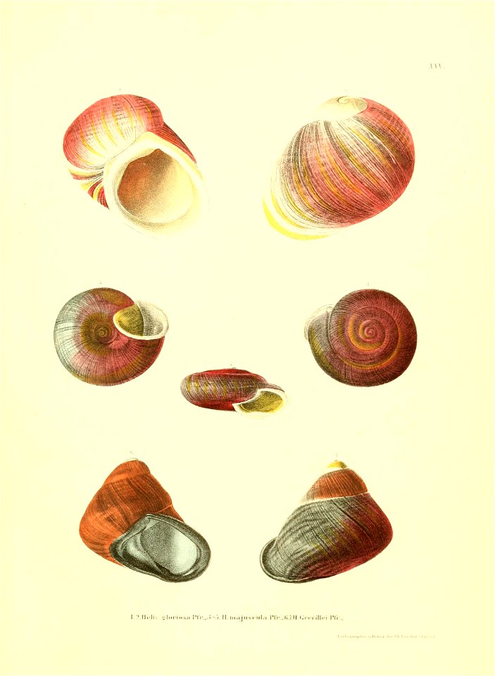 n206_w1150