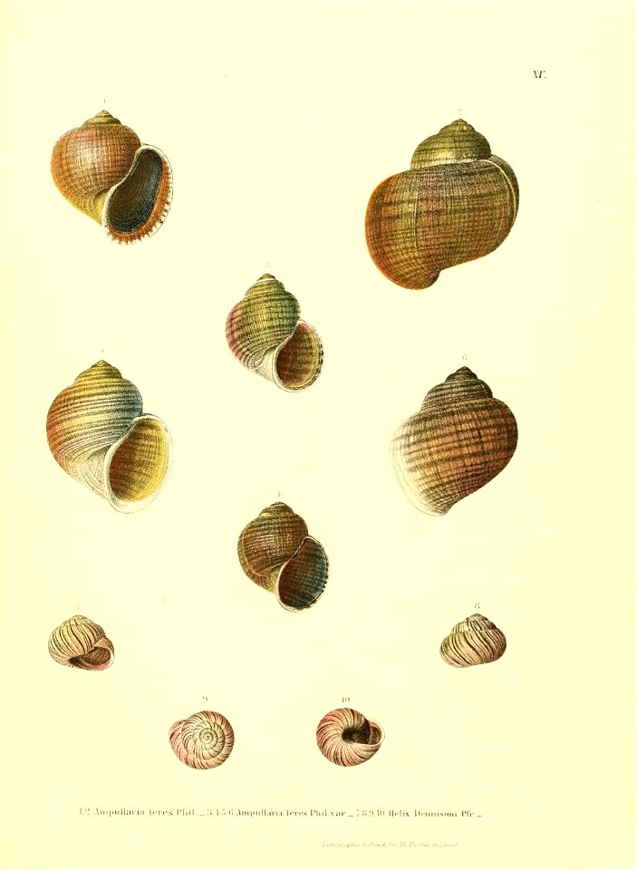 n176_w1150