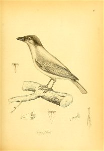 n122_w1150