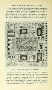 n53_w1150