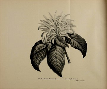 n1527_w1150