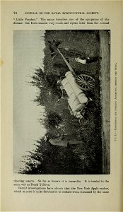 n85_w1150