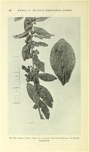 n87_w1150