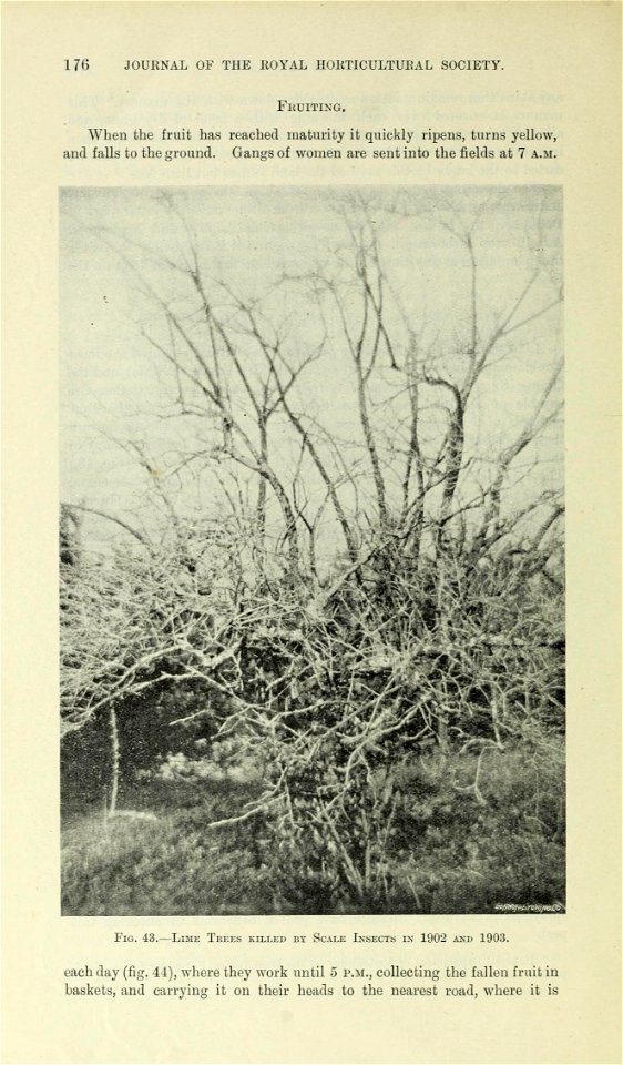 n183_w1150