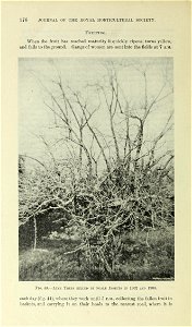 n183_w1150