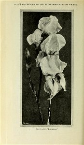 n987_w1150