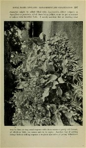 n298_w1150