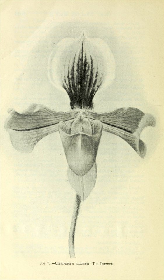 n537_w1150
