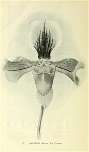 n537_w1150