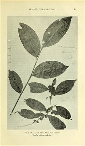 n80_w1150