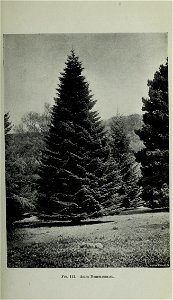 n468_w1150
