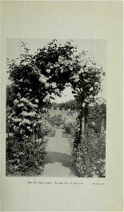n116_w1150