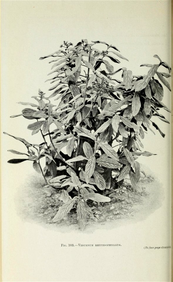 n947_w1150
