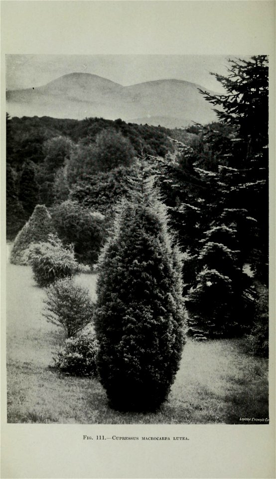 n467_w1150
