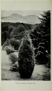 n467_w1150
