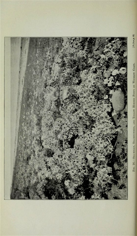 n111_w1150