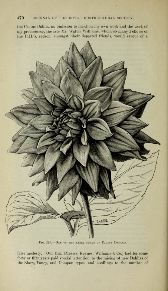 n495_w1150