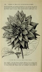 n495_w1150