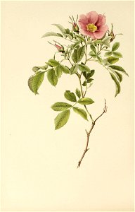 n395_w1150