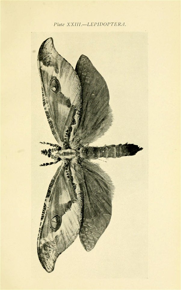 n350_w1150