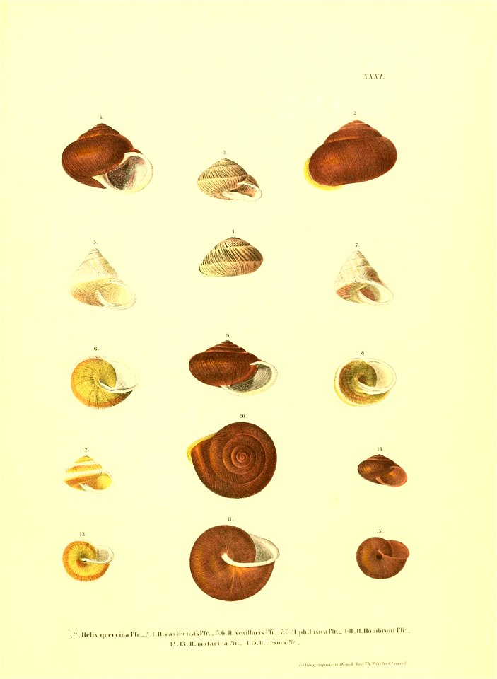 n208_w1150