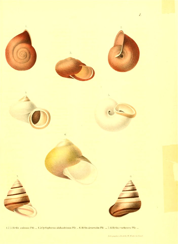 n148_w1150