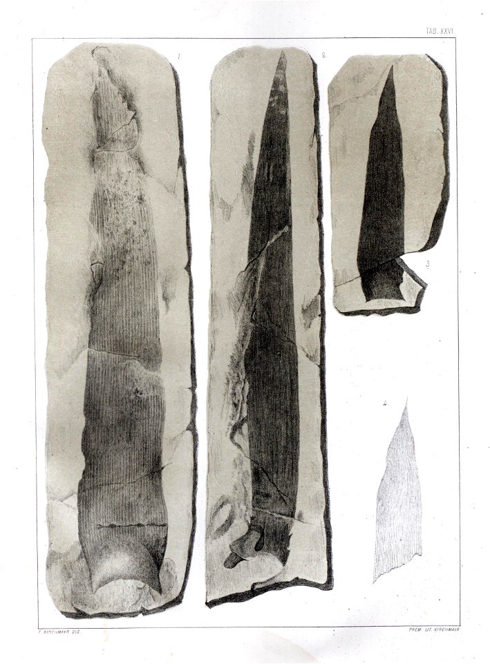 n262_w1150