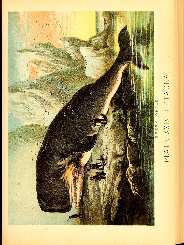 n502_w1150
