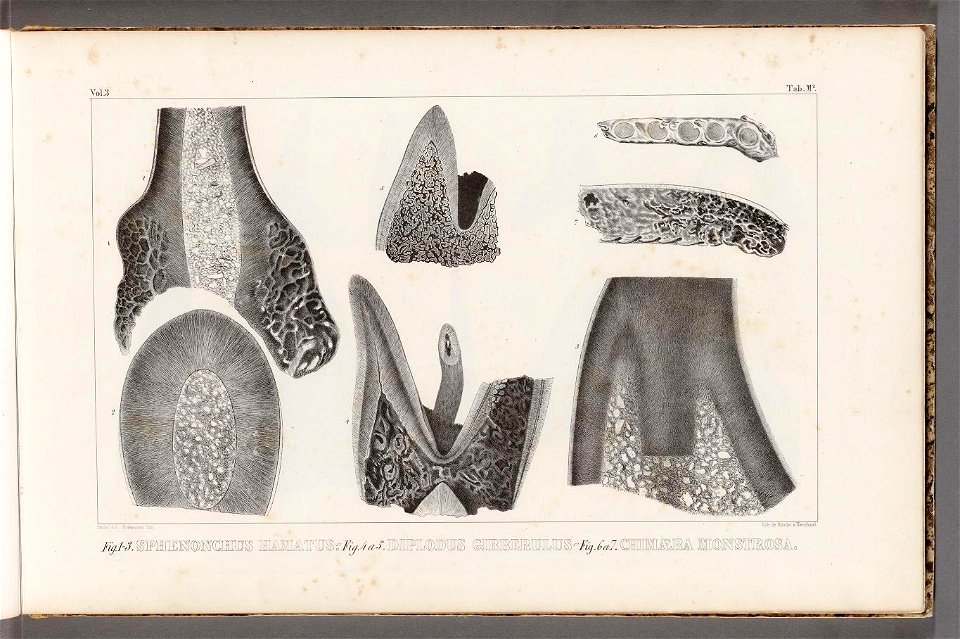 n18_w1150