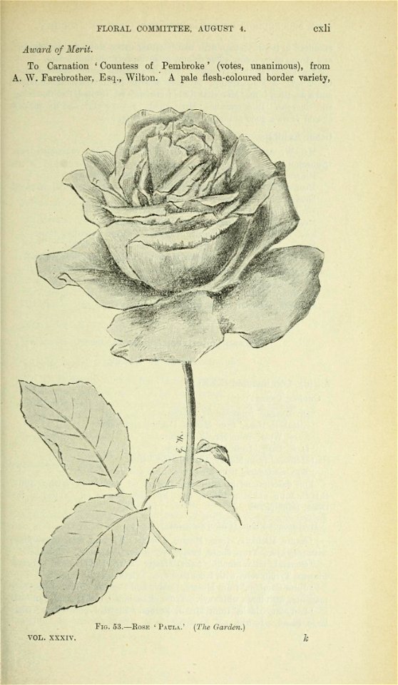 n1002_w1150