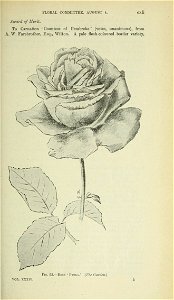 n1002_w1150