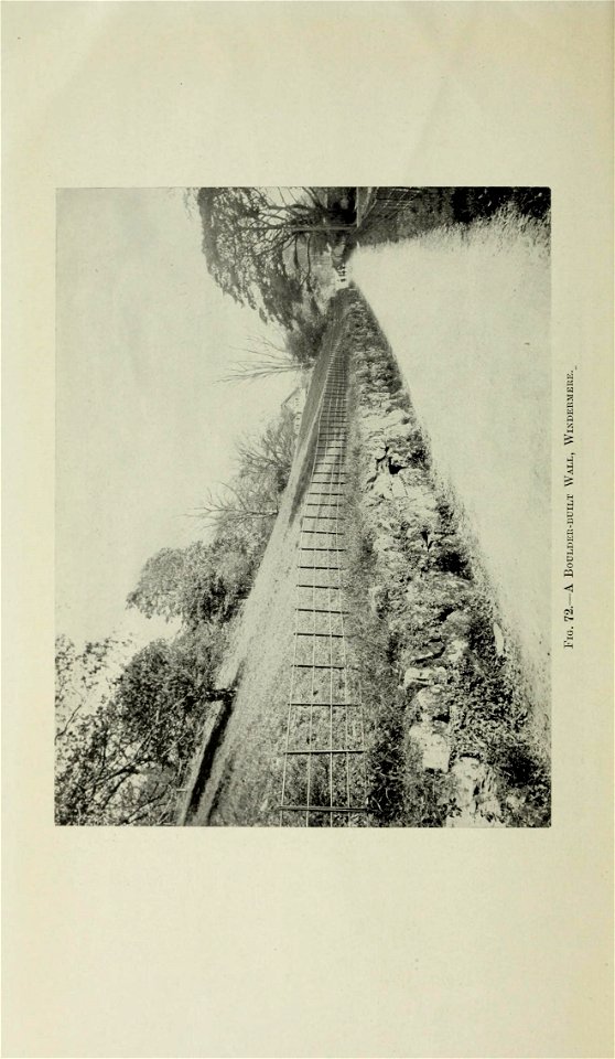 n549_w1150
