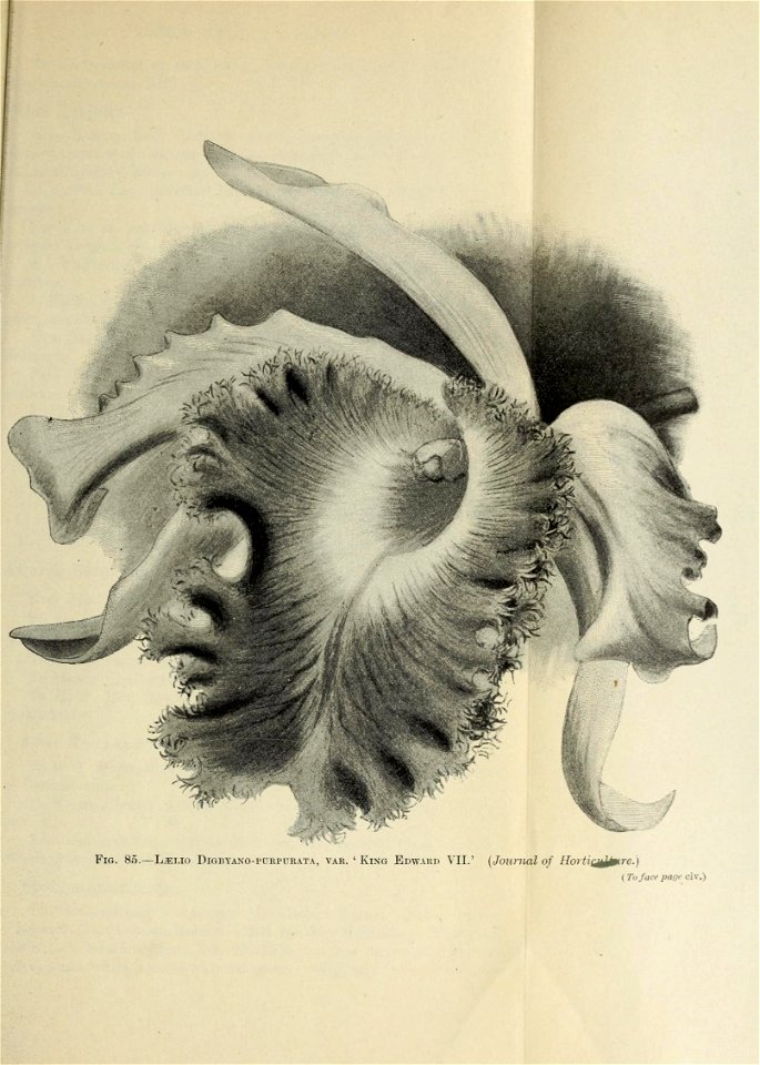 n1398_w1150