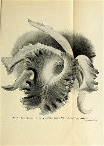 n1398_w1150