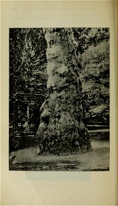 n393_w1150
